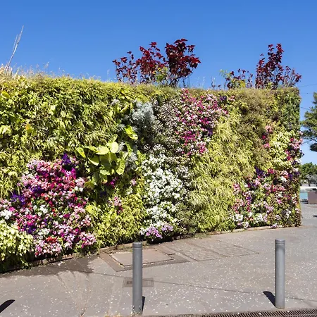 Apartamento Home2book Spacious & Modern Escape In Cruz *