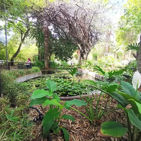 Apartamento Home2book Spacious & Modern Escape In Cruz Santa Cruz de Tenerife